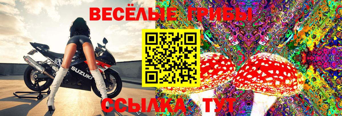 Галлюциногенные грибы MAGIC MUSHROOMS  Псилоцибиновые грибы мухоморы  Новосибирск  Вход с VPN 